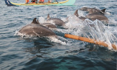 kilauan bay